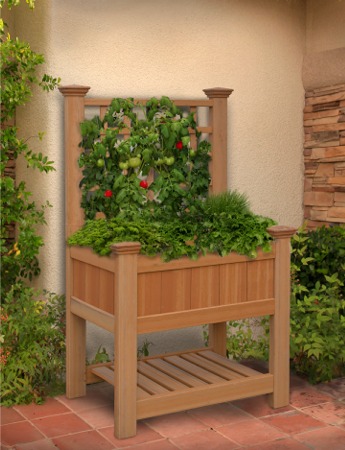 Bloomsbury Planter & Trellis