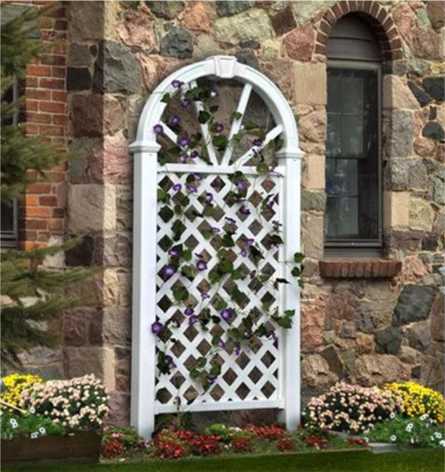 Nantucket Trellis