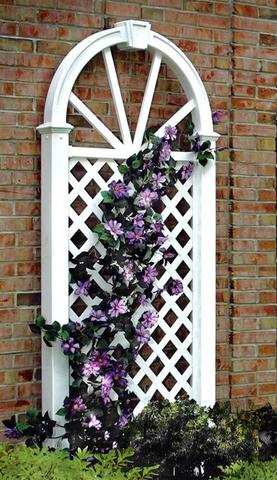 Nantucket Trellis